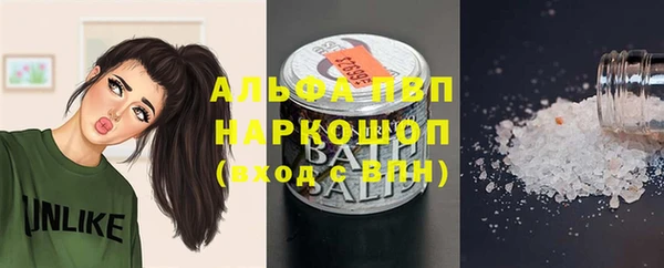 эйфоретик Арсеньев