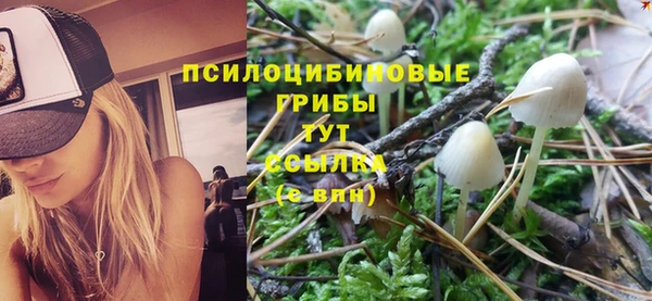 эйфоретик Арсеньев