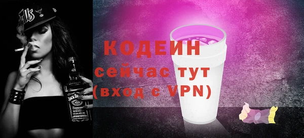 эйфоретик Арсеньев