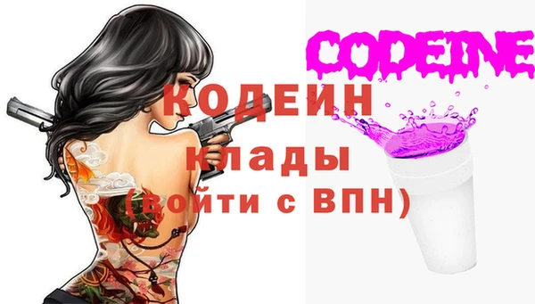 шишки Нягань