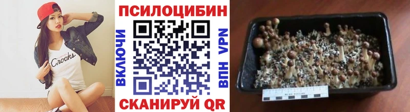 где можно купить наркотик Луза Галлюциногенные грибы мухоморы
